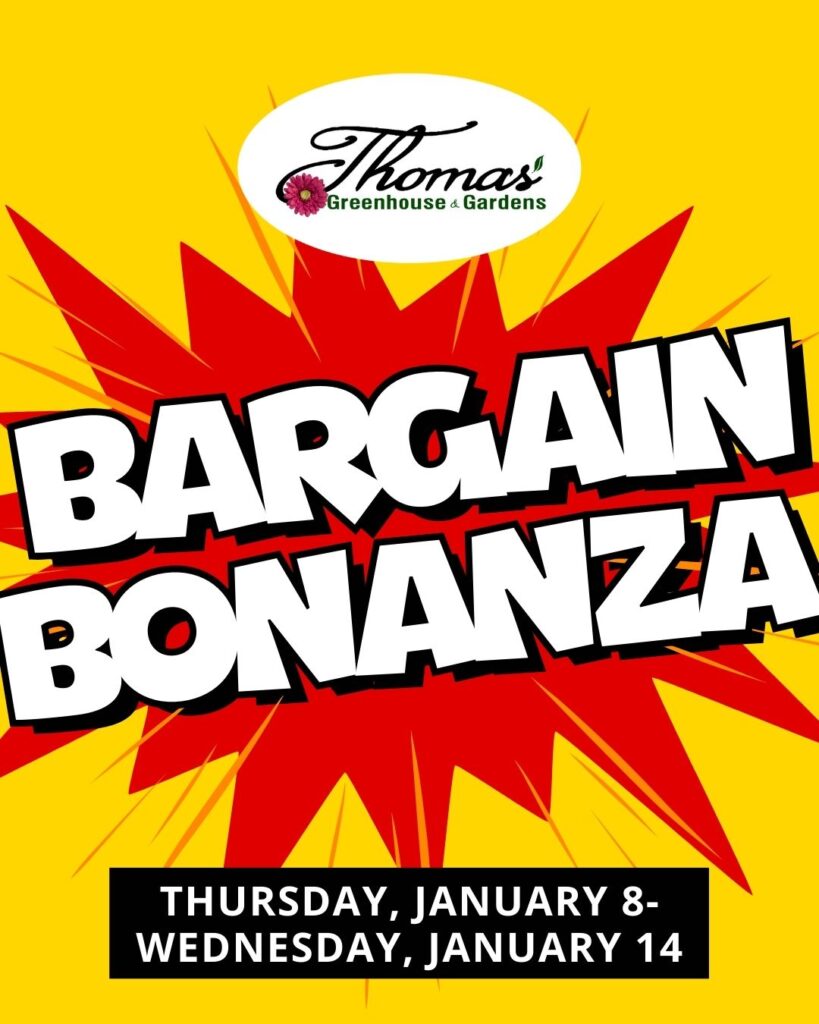thomas-greenhouse-bargain-bin-closeout-deals-jan-2026