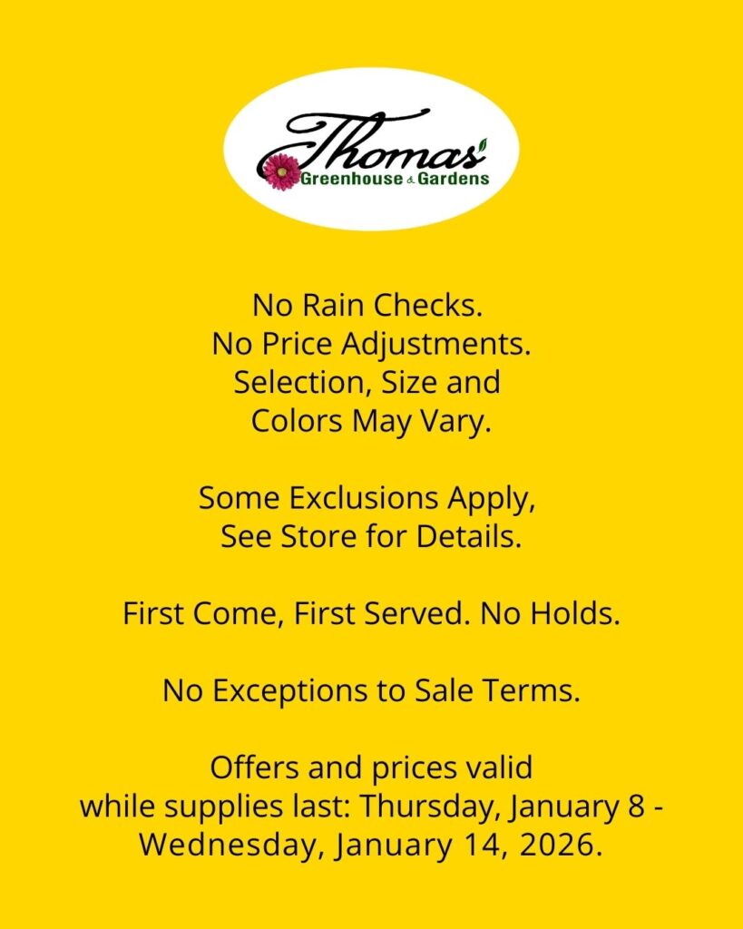 Sale disclaimer for Thomas Greenhouse & Gardens Bargain Bin Bonanza listing exclusions, no rain checks, and sale dates January 8–14, 2026.